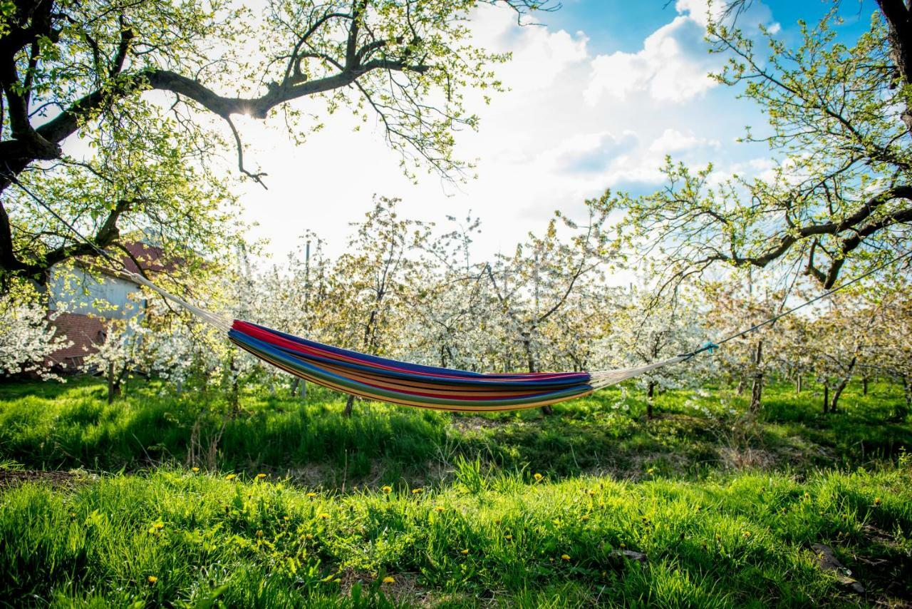 Deichkroenchen Ferienwohnung Altes Land Hamburg Jork Eksteriør bilde